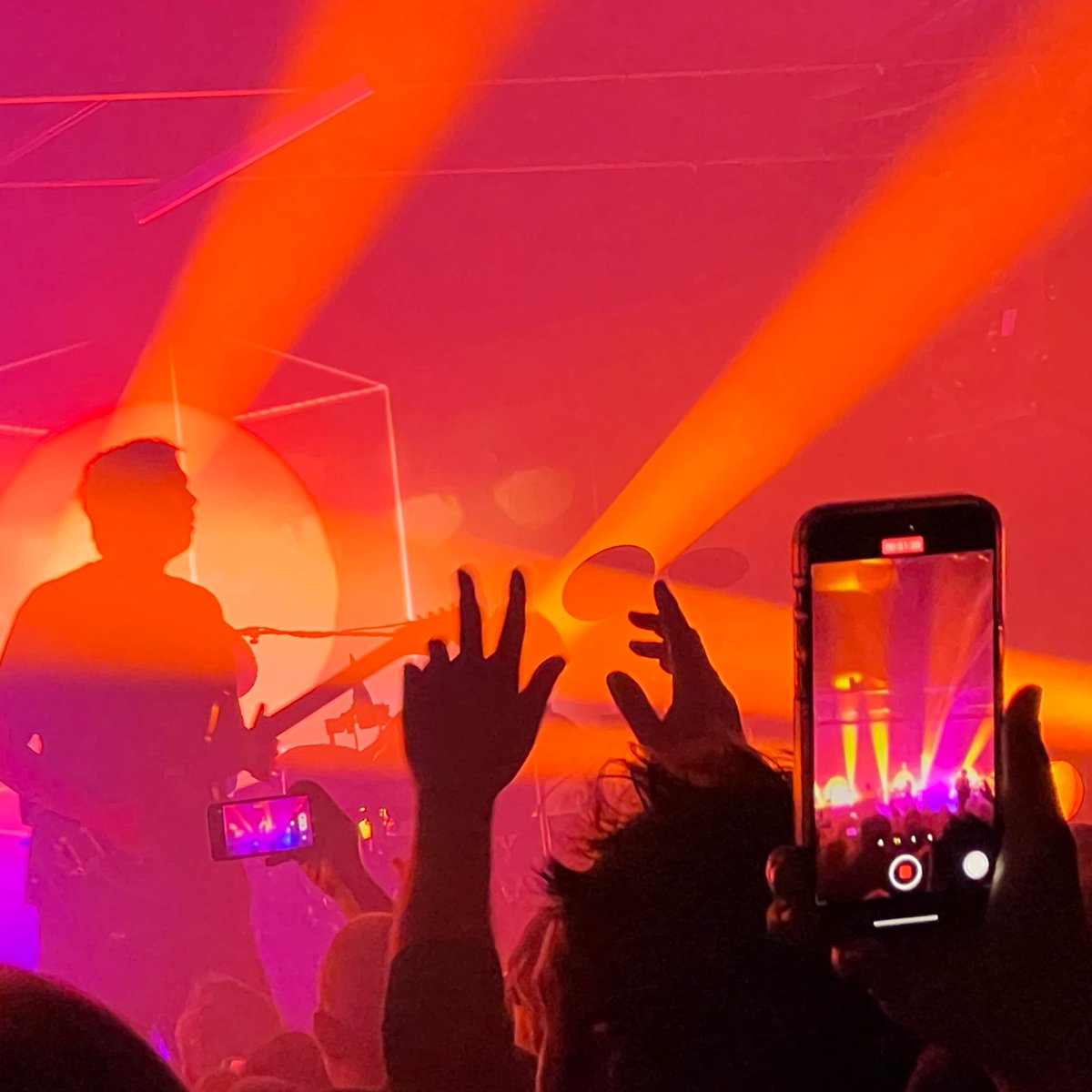 Ali Winter tweet media