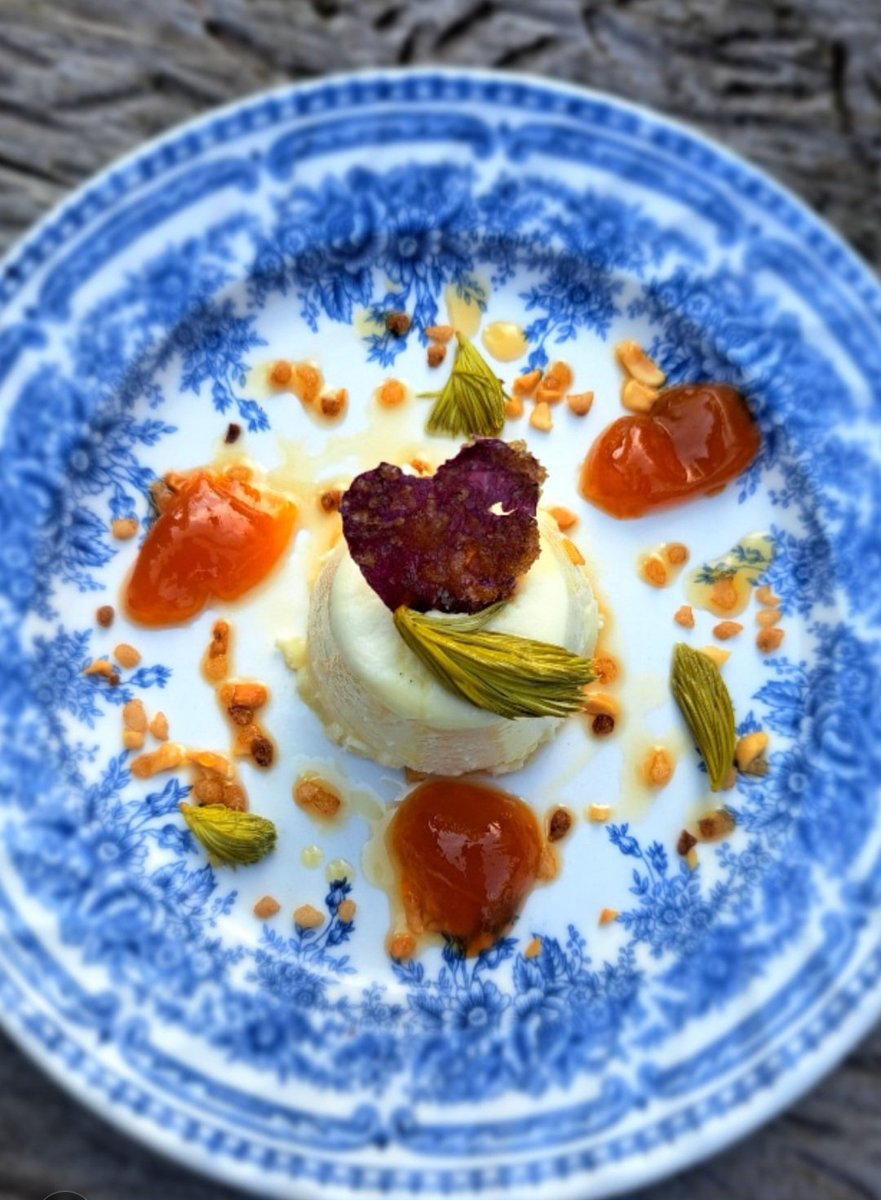 marjanna v.d. meulen tweet media