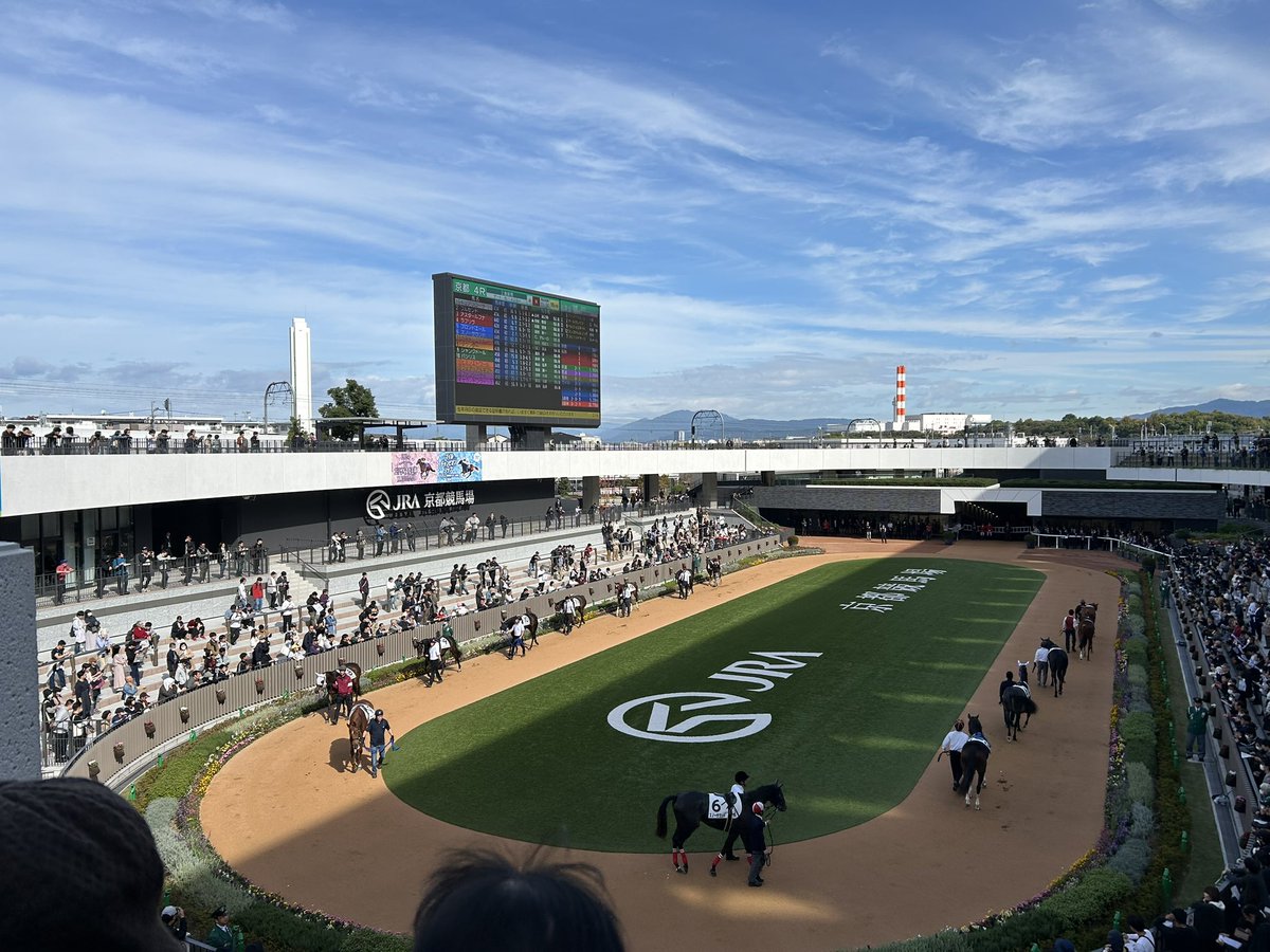 kksh_chmm's tweet photo. 久しぶりの京都競馬場でした🐴 https://t.co/ClyslHEPOZ