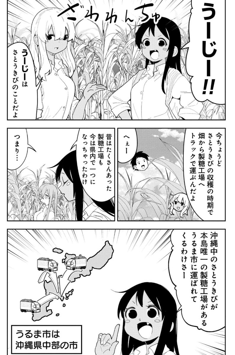 沖縄では12月になるとあるものが落ちている話 