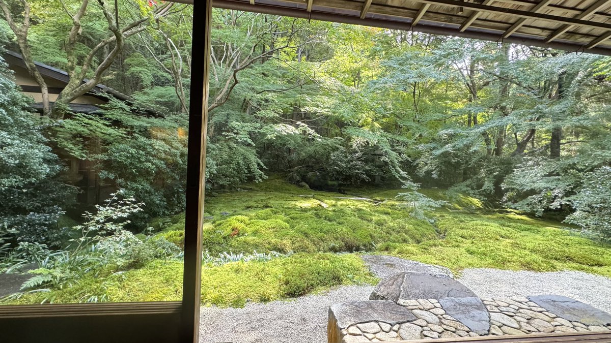 忙しいときこそ行きたい場所に足を運び、そこで得られる体験を味わいましょう🙌家でモヤモヤ悩んでいるより、場所を変えて考えると新しいアイデアが生まれます✨