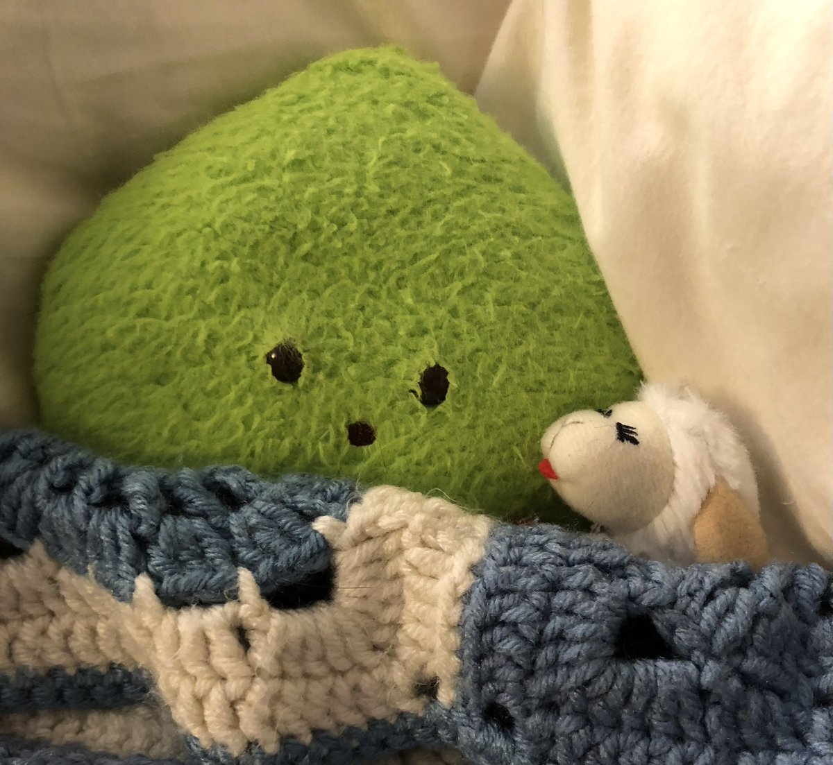 Anya & Skittle, Cat Lady & Her Cat tweet media