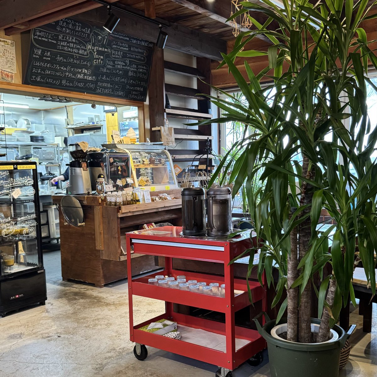 kn9cn's tweet photo. 北海道の農園の中にあるカフェ☕
野菜メインの料理がどれもお洒落で美味しい🥬 https://t.co/V0381khCzR