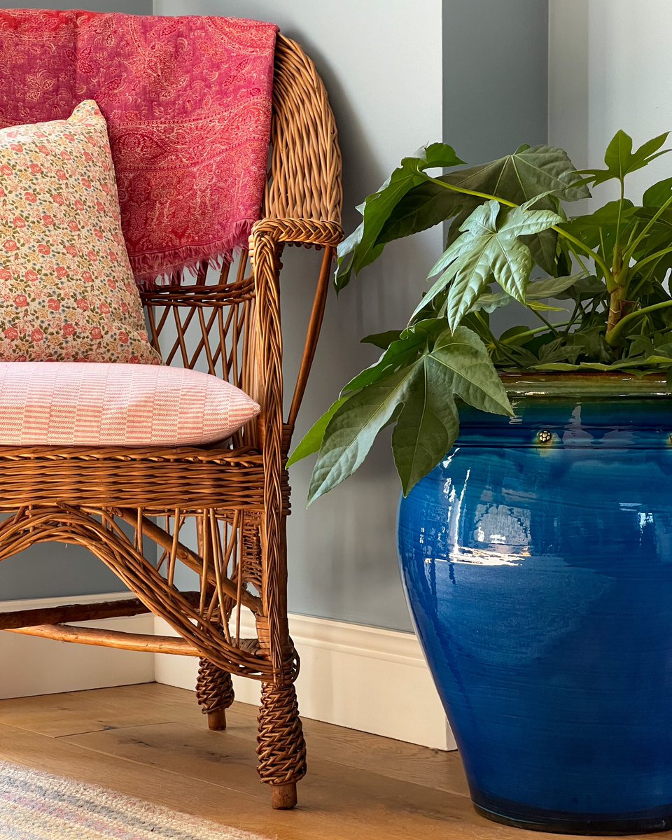 BritishFlowerpots tweet media