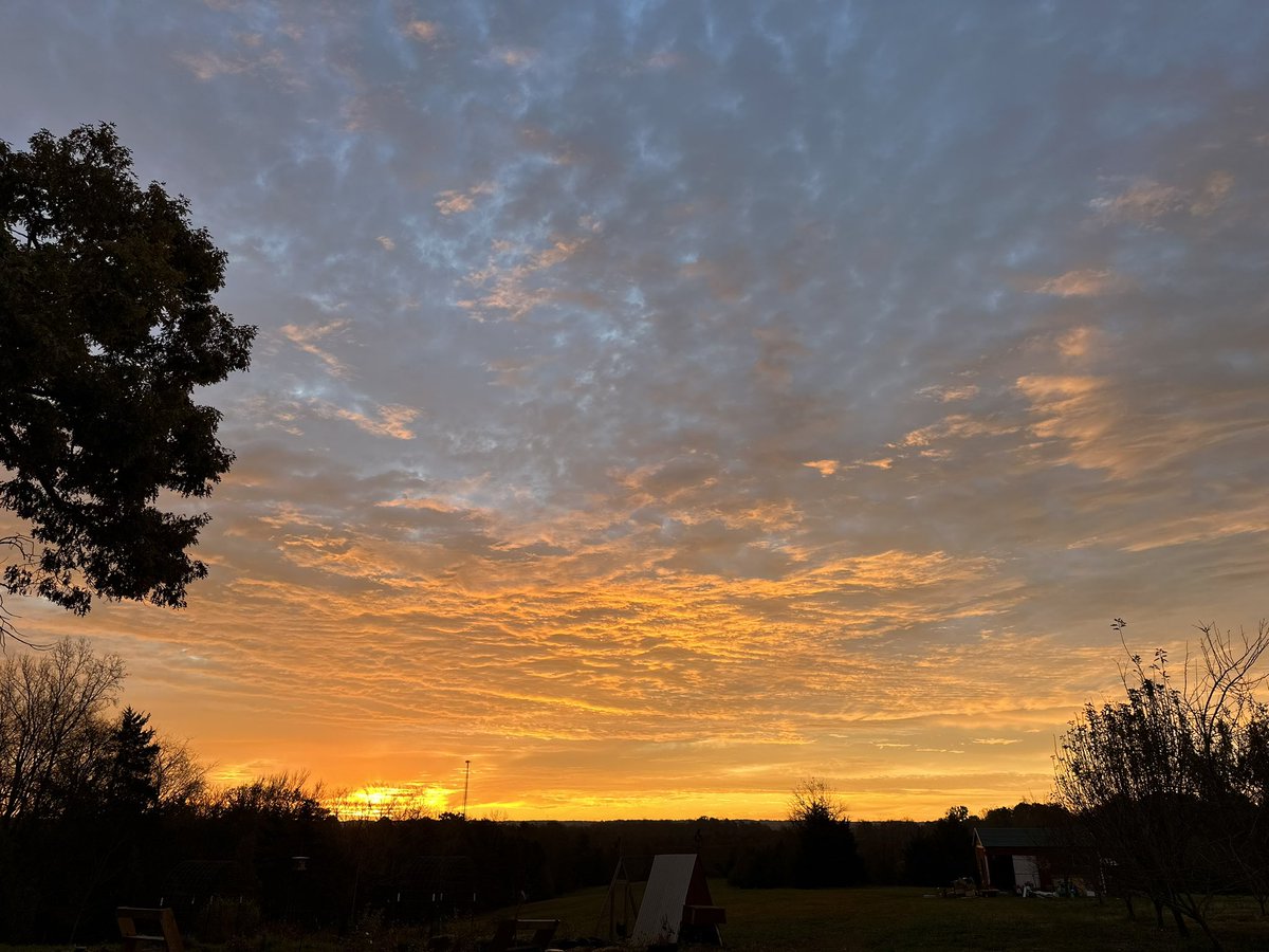 FepiJayto's tweet photo. Goodmorning beautiful beings! 

Be the light ( change ) you hope to see in the world 🤩

#dawn of a #golden age #sunrise https://t.co/kNMgrFGEDX