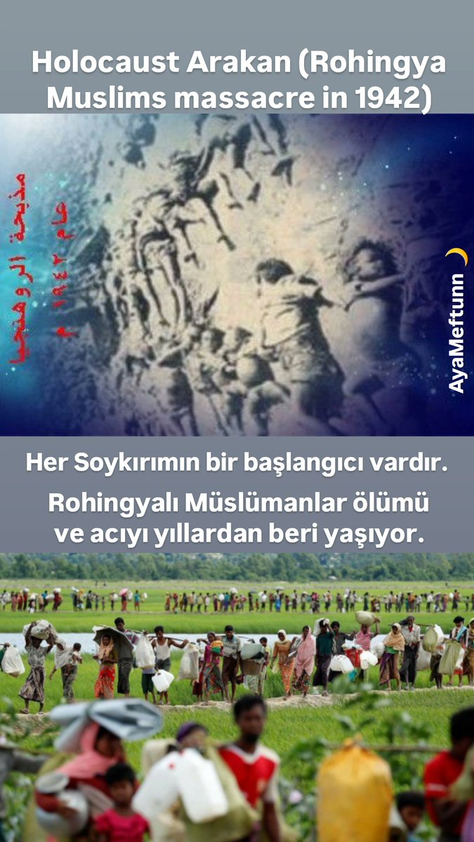 AyaMeftunn's tweet photo. ROHINGYA MUSLIMS MASSACRE!
Every genocide has a beginning!
Rohingya Muslims have been experiencing death and pain for years.
Don't forget the Rohingya.
#savetheRohingya
@Jaber_Jarullah2
🌿
Allah ve Resülü aşkına etiketimizi yayalım, Müslüman Kardeşlerimizin sesi olalım. https://t.co/tVvBX1IwUc