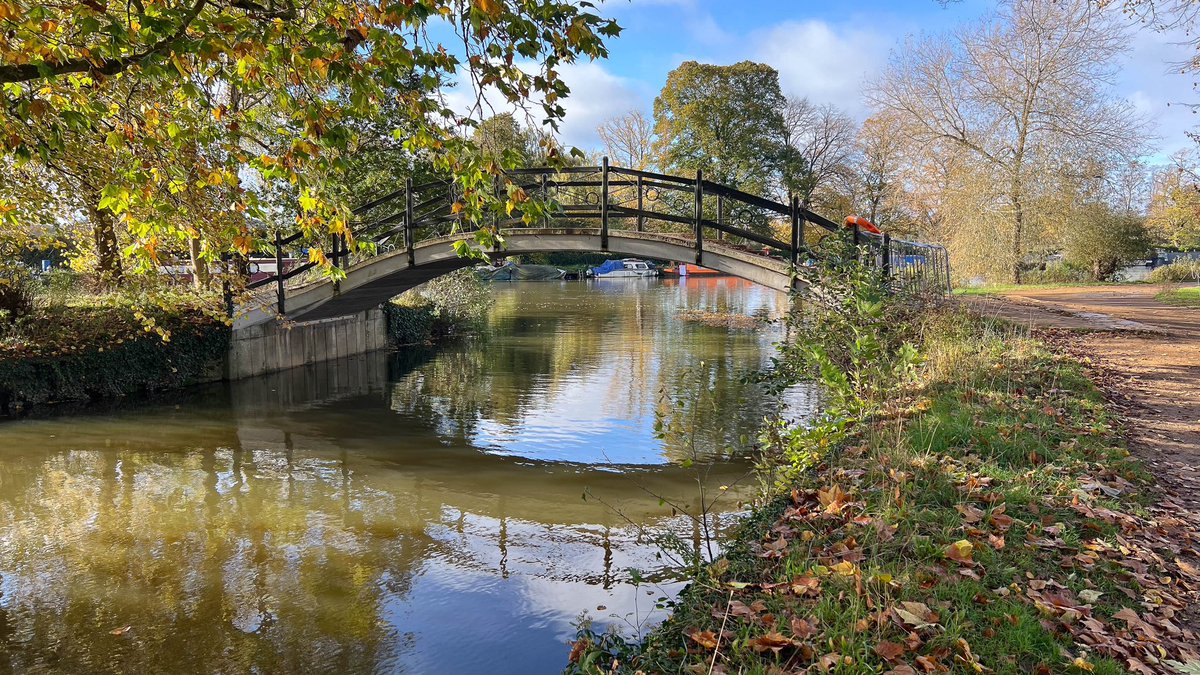 Ross Mackenzie tweet media