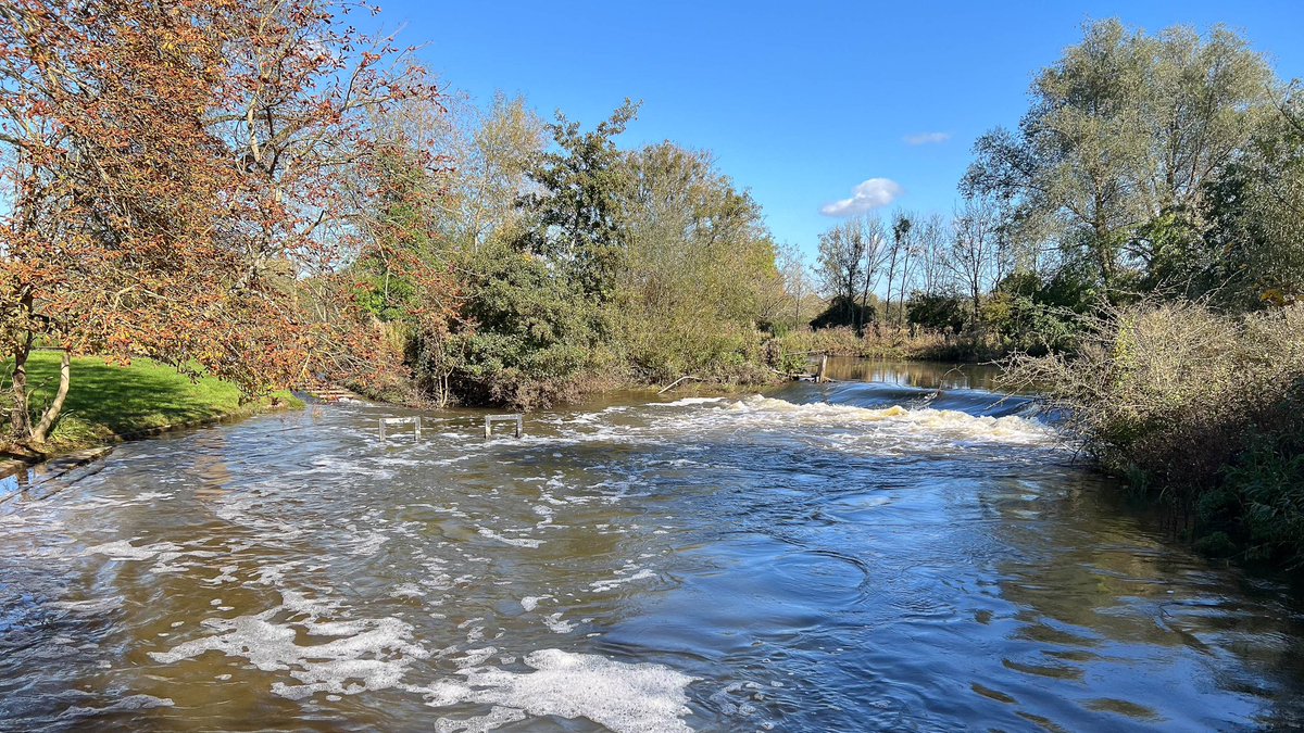 Ross Mackenzie tweet media