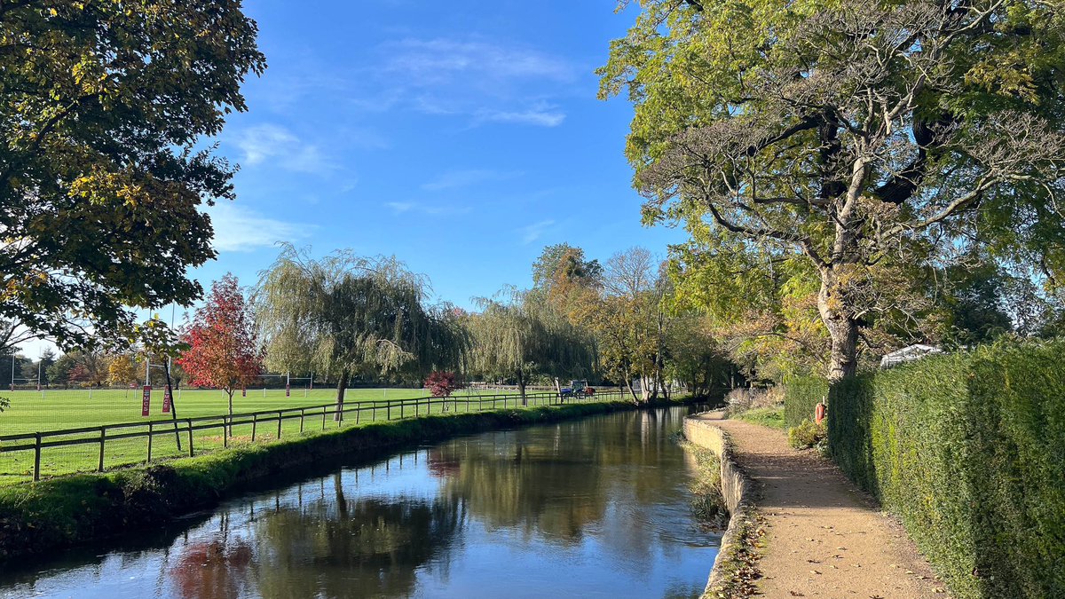 Ross Mackenzie tweet media