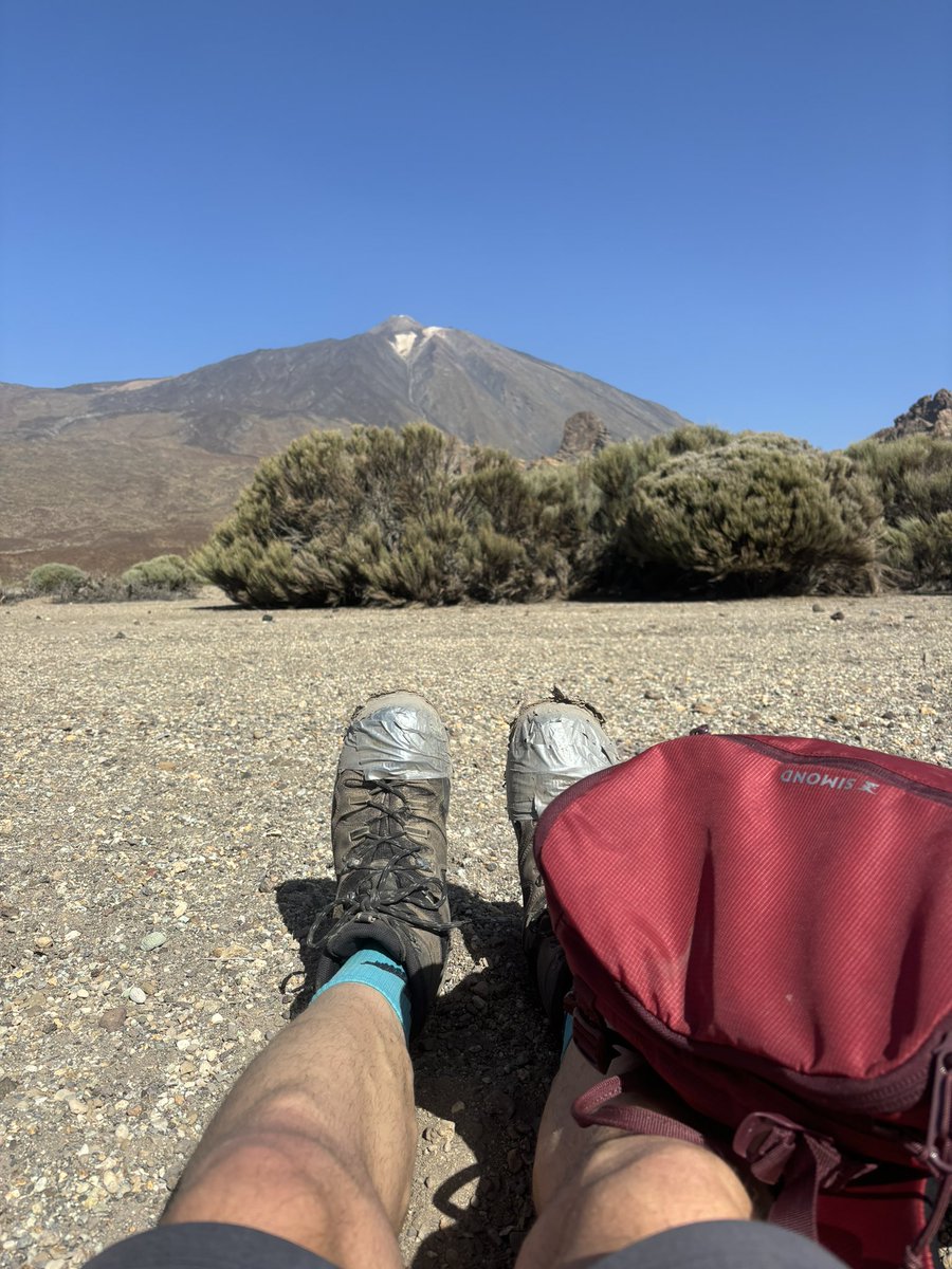 Graham Bird tweet media