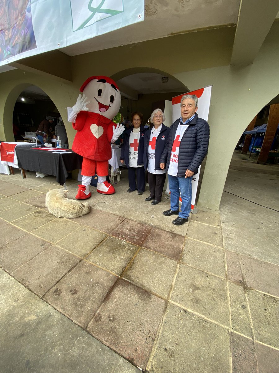 GuerreroFischer's tweet photo. Tremendo equipo que logró reunir
las Domoukafe 🫶🏻. Gracias
@eduardodelaiglesia y equipo, por venir a apoyar tan hermoso evento que sin duda reunió a todos @Teleton Gracias a todos quienes apoyaron este hermoso y solidario evento, sin duda, juntos somos LA UNIÓN #regiondelosrios https://t.co/4yDKh3fubX