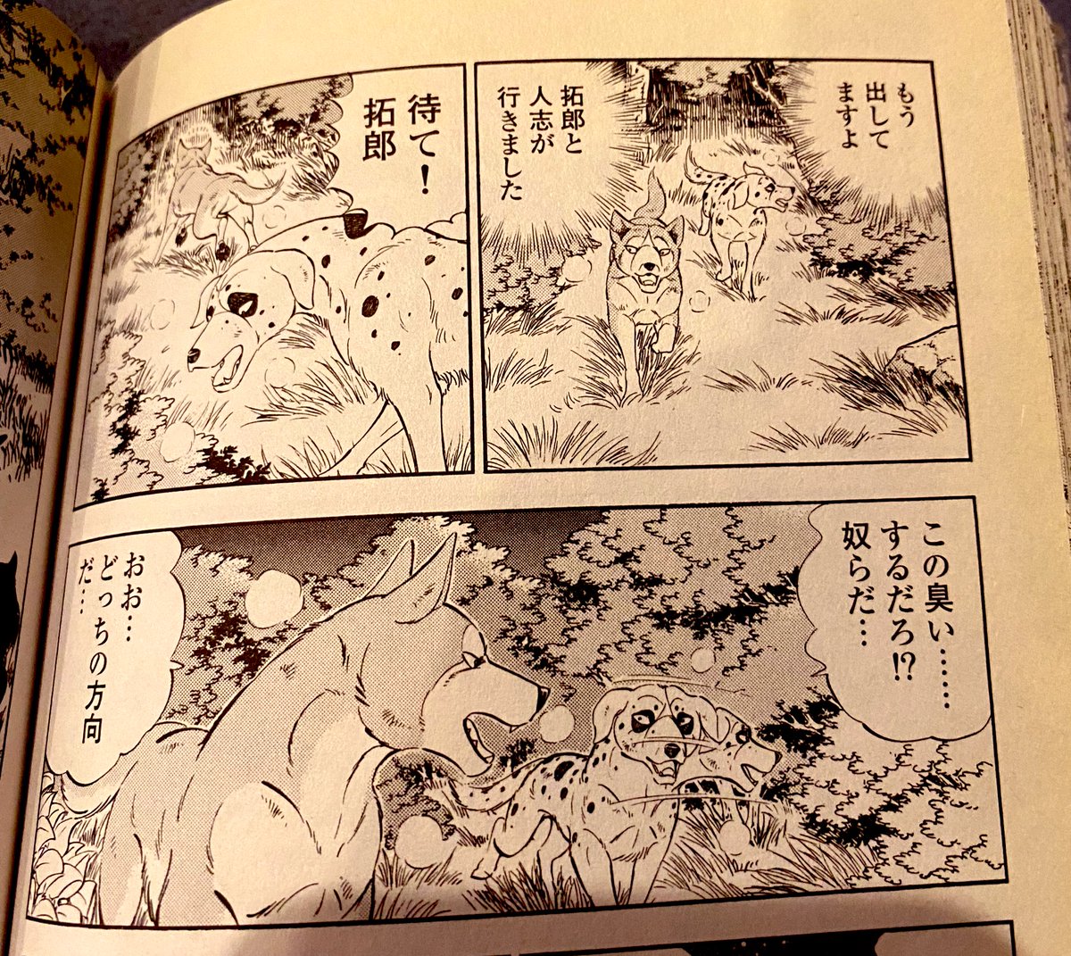 高橋よしひろ先生　手ぬぐい 🌌高橋よしひろ先生新連載🌌銀牙伝説レクイエム🌌 on X: 