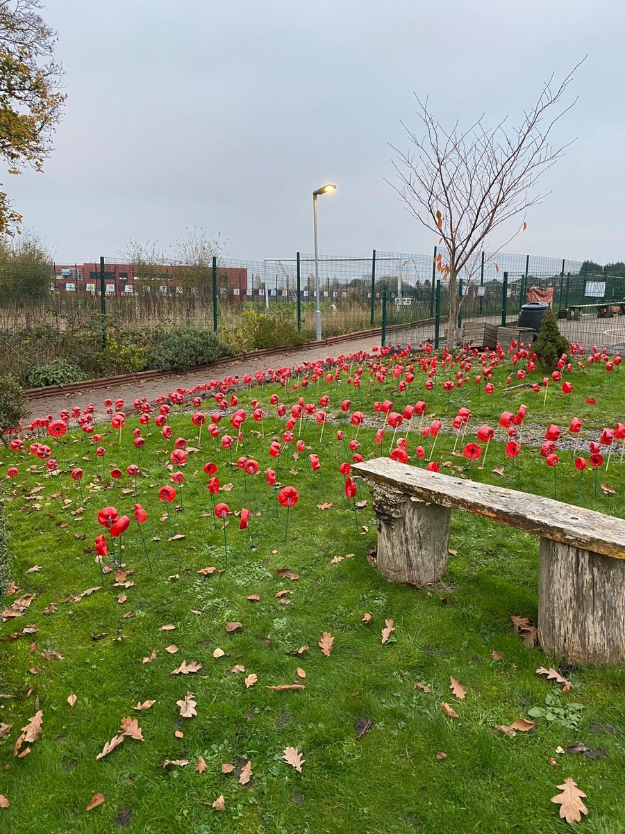 Our Lady and St Hubert's Primary tweet media