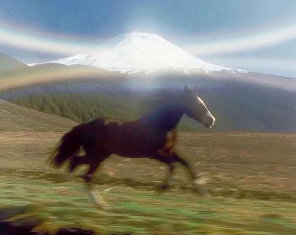 Vik (@pijoaparte_) on Twitter photo 