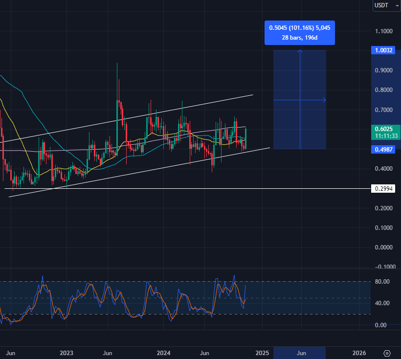 XRP is set to be the next, with a 100% jump potentially bringing it to $1. Can you believe it?