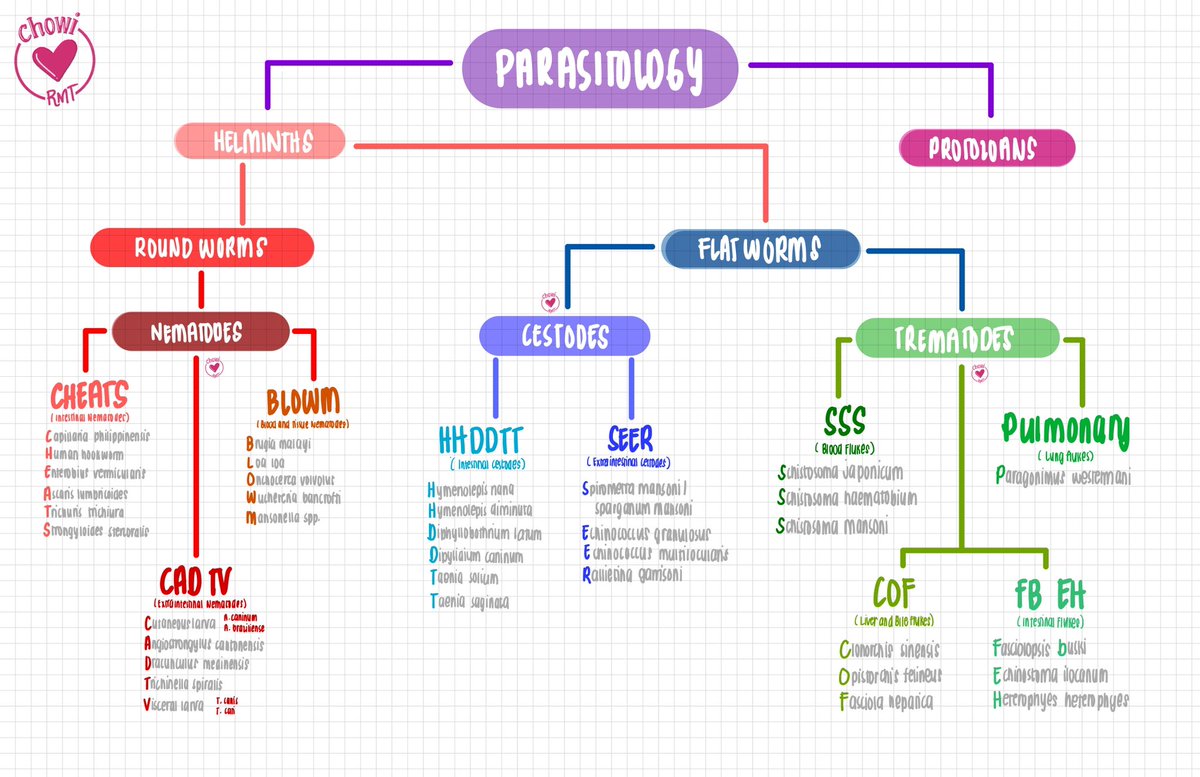joietoyourworld's tweet image. 🪱 PARASITOLOGY CLASSIFICATION MNEMONICS 
#MTLEClues #ChewyMDNotes
