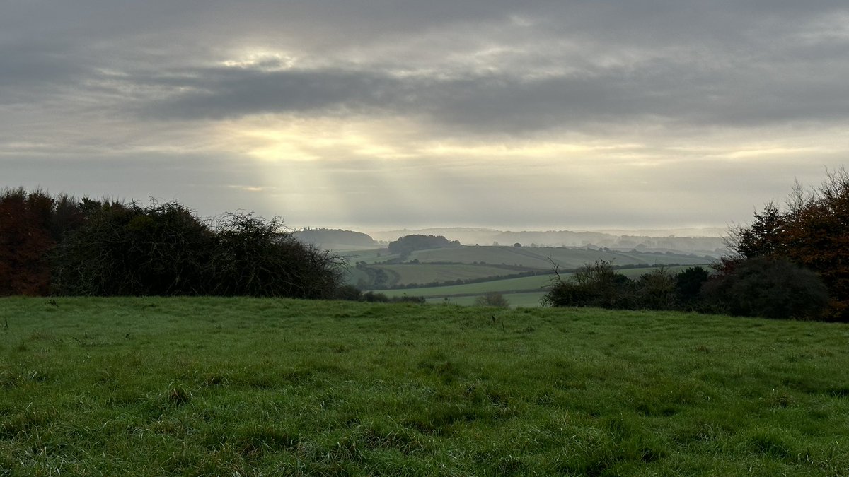 James Phillips (@_james1phillips) on Twitter photo PentridgeDown AM: HAWFINCH 3, Brambling 10, Redpoll 7, Woodlark 3, Crossbill, Redwing 730, Fieldfare 350, MistleThrush 7, Chaffinch 102, Siskin 6, SongThrush 13, Skylark 57, Linnet 68, Greenfinch 13, Starling 589w, Yhammer 33, CornBunt 19, Alba 17w, EgyptGoose 5w <a href="/DorsetBirdClub/">Dorset Bird Club</a> PentridgeDown AM: HAWFINCH 3, Brambling 10, Redpoll 7, Woodlark 3, Crossbill, Redwing 730, Fieldfare 350, MistleThrush 7, Chaffinch 102, Siskin 6, SongThrush 13, Skylark 57, Linnet 68, Greenfinch 13, Starling 589w, Yhammer 33, CornBunt 19, Alba 17w, EgyptGoose 5w <a href="/DorsetBirdClub/">Dorset Bird Club</a>