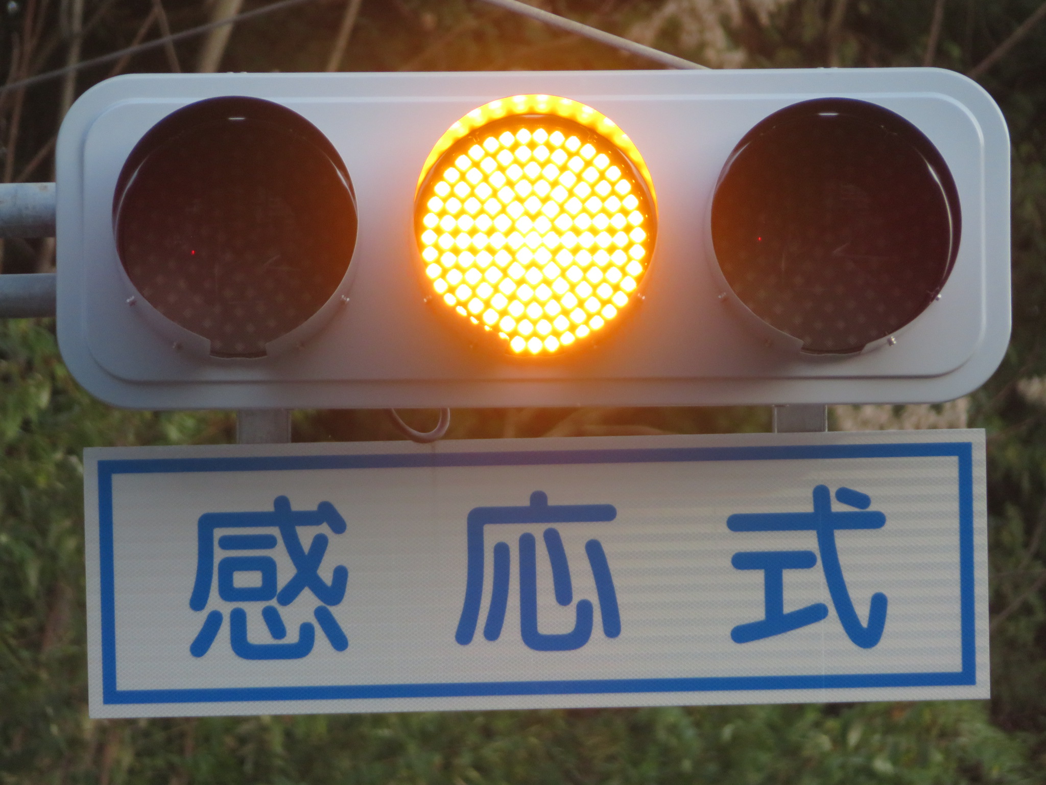 まったん*。 on X: まったん*。 on X:
