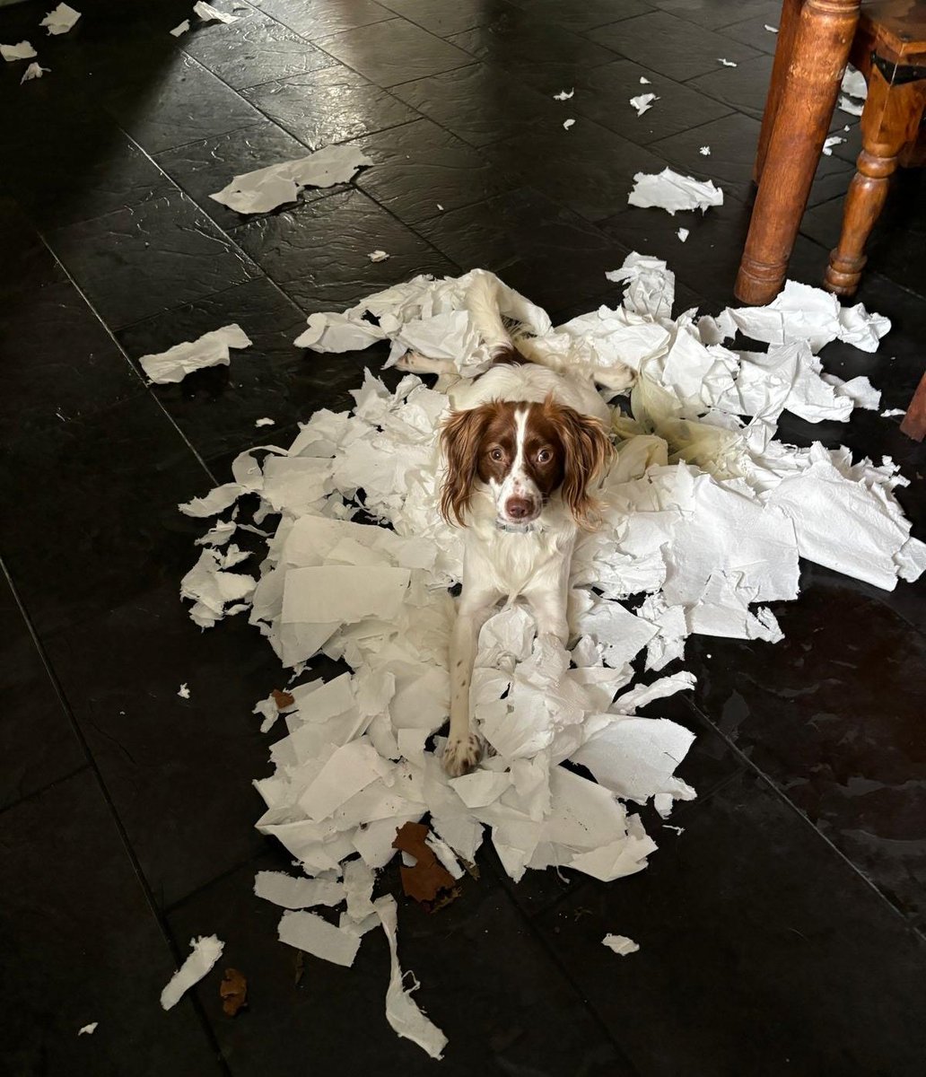 Martin Brown tweet media