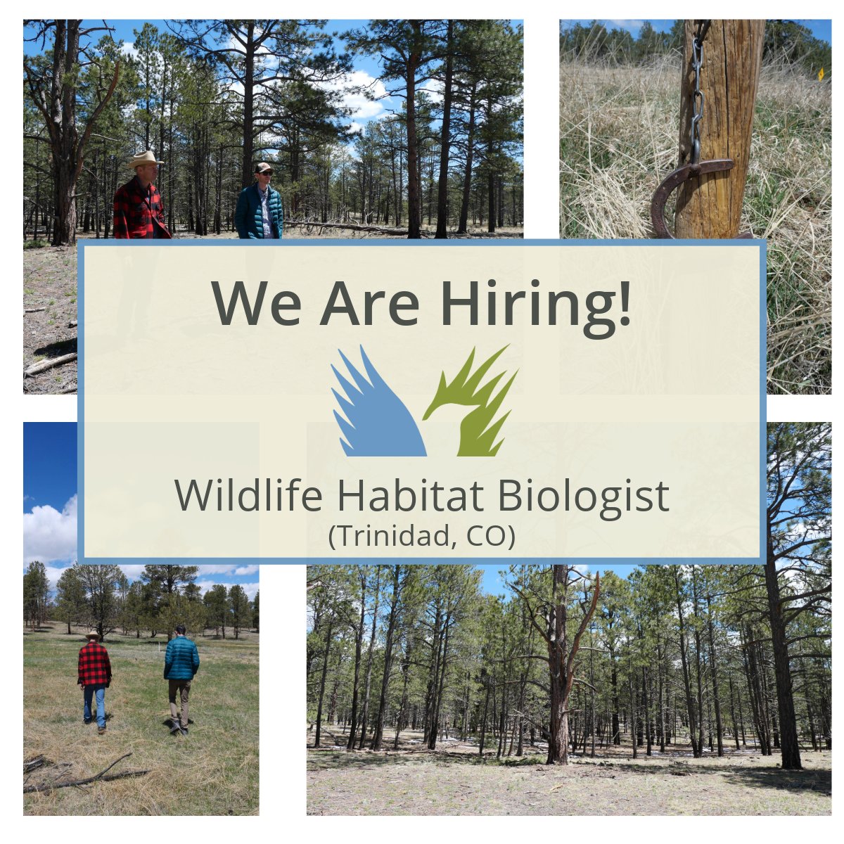 Bird Conservancy of the Rockies tweet media