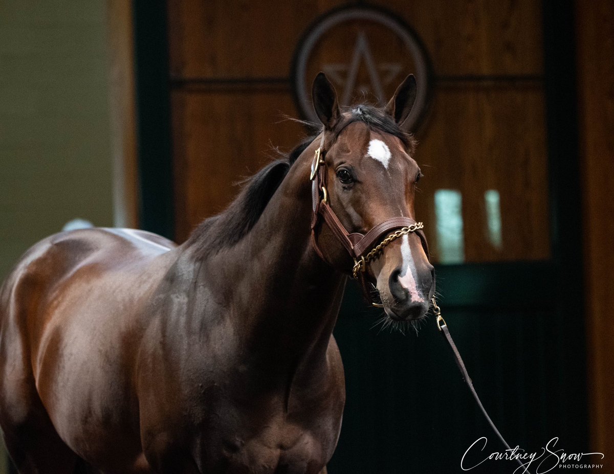 Courtney Snow tweet media