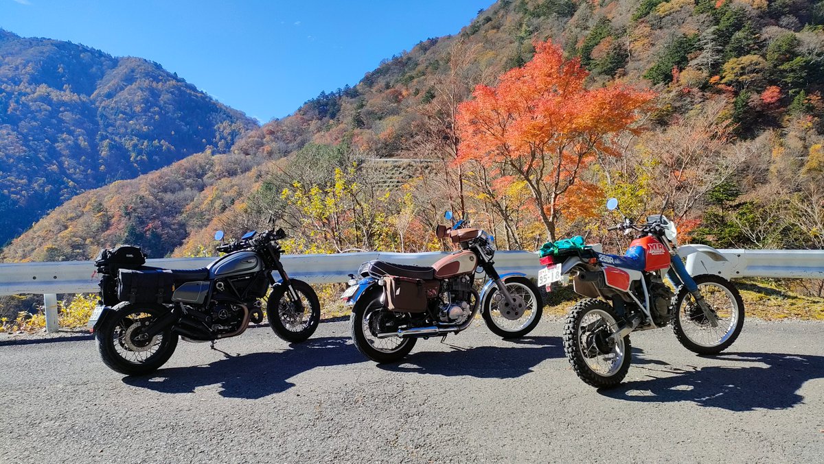 semedine's tweet photo. 奥祖谷二重かずら橋に紅葉ツーリング
去年はちょっと早く行き過ぎたので今年は一週間ほどずらしてgo！！

時期はバッチリ
めっちゃ綺麗に紅葉してた
おっさんもう感動

じつは二重かずら橋も初めて行ったし
ぜんぜん怖かったし
ええ一日になりました

#奥祖谷二重かずら橋  
#いつものおっさん3人組 https://t.co/V4dKGaQ48w
