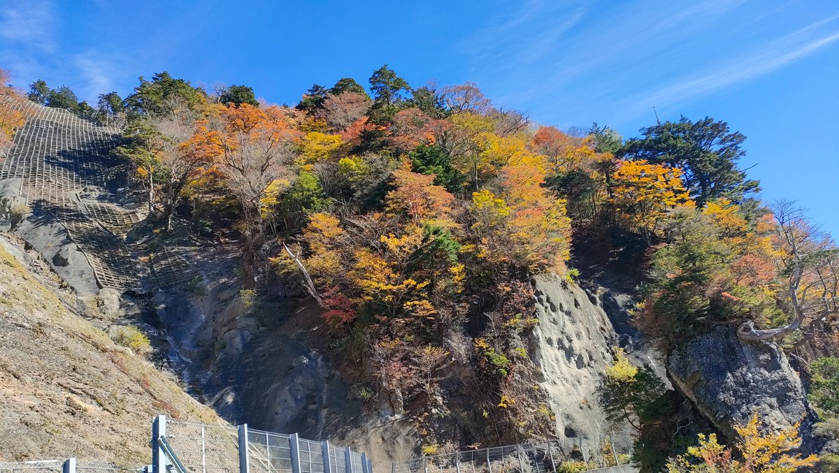 semedine's tweet photo. 奥祖谷二重かずら橋に紅葉ツーリング
去年はちょっと早く行き過ぎたので今年は一週間ほどずらしてgo！！

時期はバッチリ
めっちゃ綺麗に紅葉してた
おっさんもう感動

じつは二重かずら橋も初めて行ったし
ぜんぜん怖かったし
ええ一日になりました

#奥祖谷二重かずら橋  
#いつものおっさん3人組 https://t.co/V4dKGaQ48w