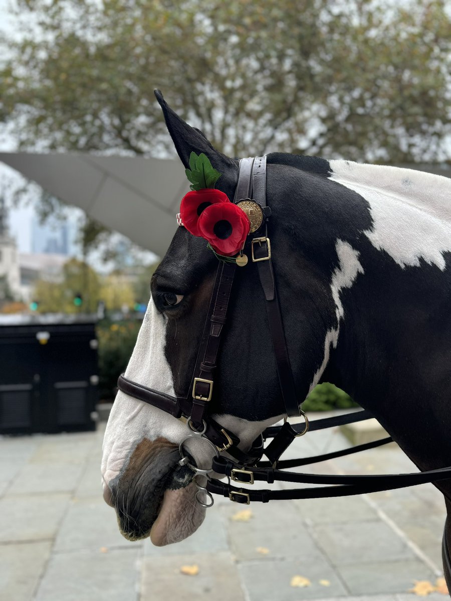 CityHorses's tweet image. #PHGilbert &amp;amp; #PH Pollard leading the parade from St Paul’s in honour of #RemembranceDay2024. They did us so proud #LestWeForget @CityPolice @StPaulsLondon