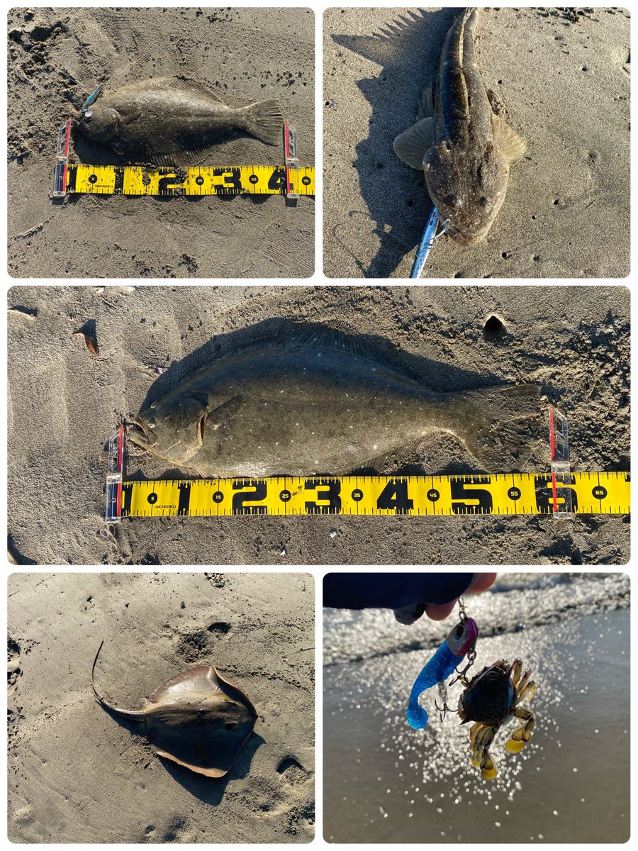cocoa_tmo's tweet photo. 久しぶりに楽しませてもらえました🎣 https://t.co/R7ZJpxbu9L