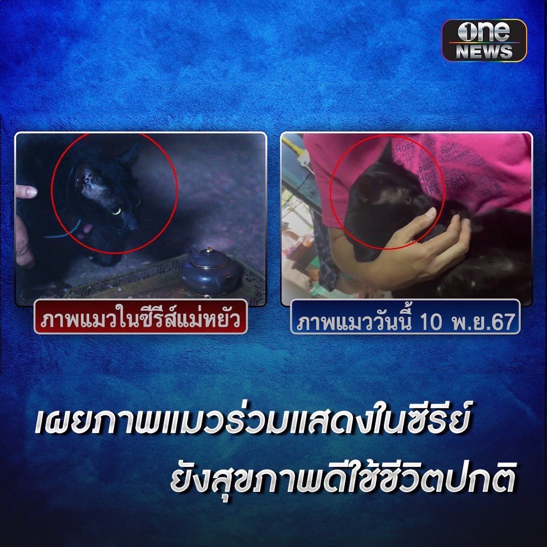 DavikahStand's tweet image. ทางช่องออกมาอัพเดตอาการของน้องแมวเพิ่มแล้ว ตอนนี้น้องแมวสุขภาพแข็งแรง พร้อมกับบอกจุดสังเกตของน้องแมว เราผู้เป็นทาสแมวเห็นแล้วก็โล่งอก อัพเดตอาการน้องเรื่อยๆได้เลยนะคะ

#แม่หยัว