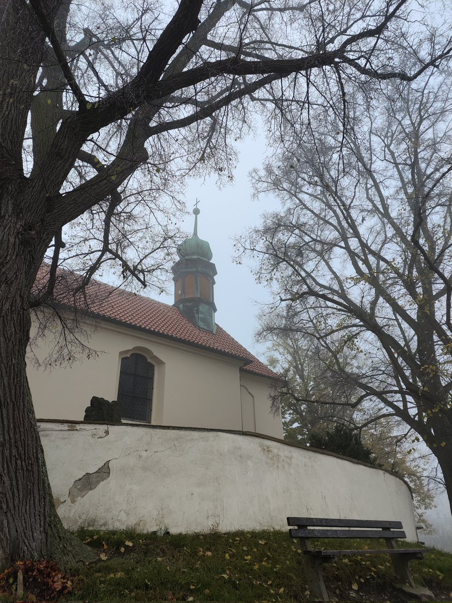 duchas93's tweet photo. Český kras https://t.co/r1XXdNsiDA
