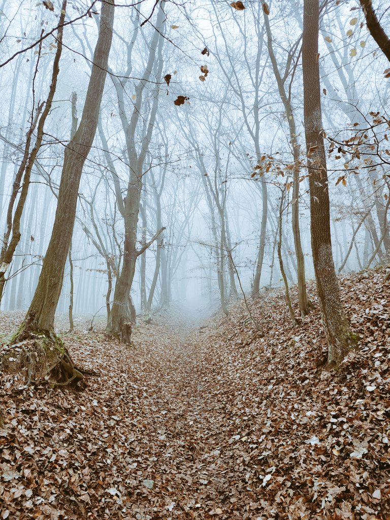 duchas93's tweet photo. Český kras https://t.co/r1XXdNsiDA