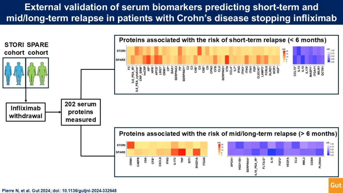 #GUTAbstract on the paper by Pierre et al entitled

"External validation of serum biomarkers predicting short-term and mid/long-term relapse in patients with Crohn’s disease stopping infliximab" via

bit.ly/40Buqyw

Paper: bit.ly/3X7tRug

<a href="/GIGA_ULiege/">GIGA-ULiège</a>