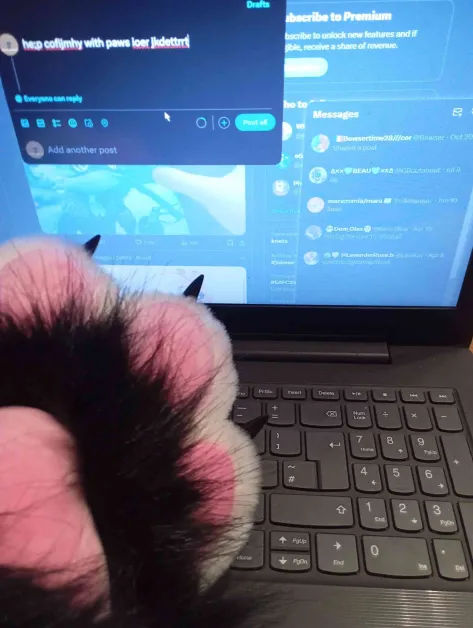 ProfesionalIdio's tweet photo. he;p cofijmhy with paws ioer jkdettrrt https://t.co/OCCGc2Lcu0