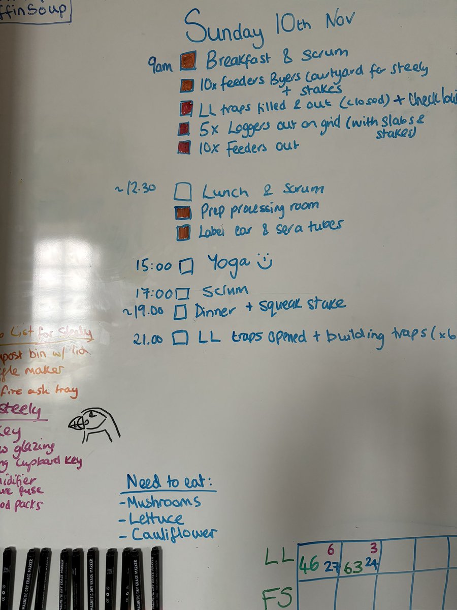 Tasks of the day set out at our breakfast “scrum”