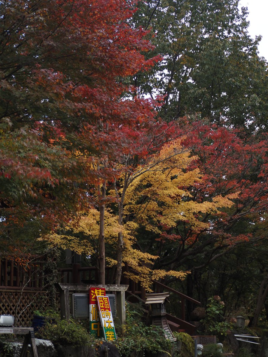 Cube_Niroo's tweet photo. 赤城山の紅葉とコーヒー https://t.co/FUssidADBs