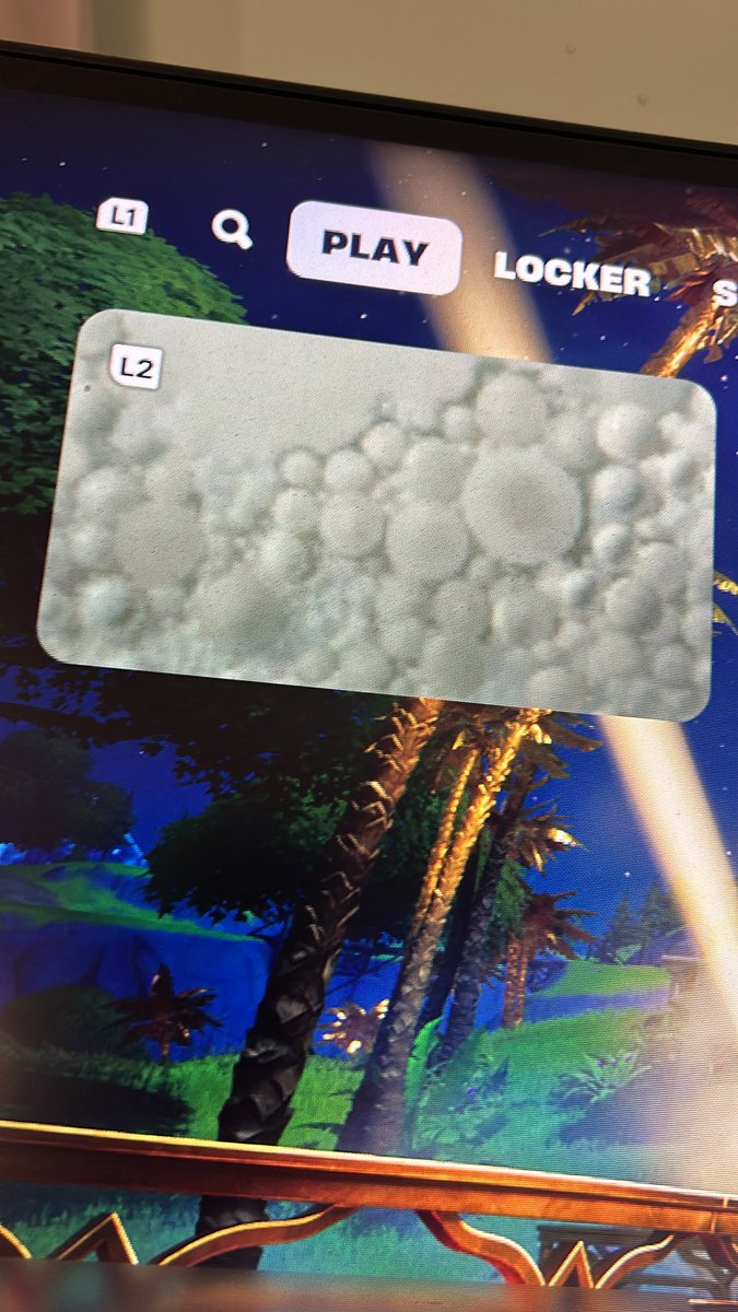 CinderMel91's tweet photo. So um what’s going on @FortniteStatus ? lol. Looks like a mold or bacteria colony. 🤣 also the hubby is having issues with is guns being fully loaded and not firing. He’s on the PS4 and I’m on the PS5 https://t.co/2ain8S5N8z
