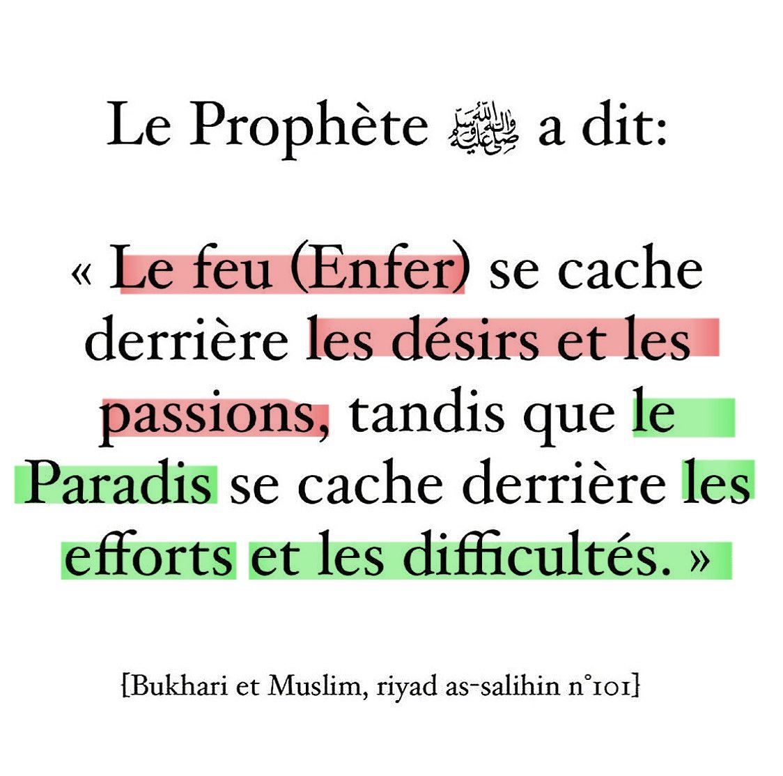 moussa_tawhid's tweet photo. https://t.co/LZSwA4d7iq