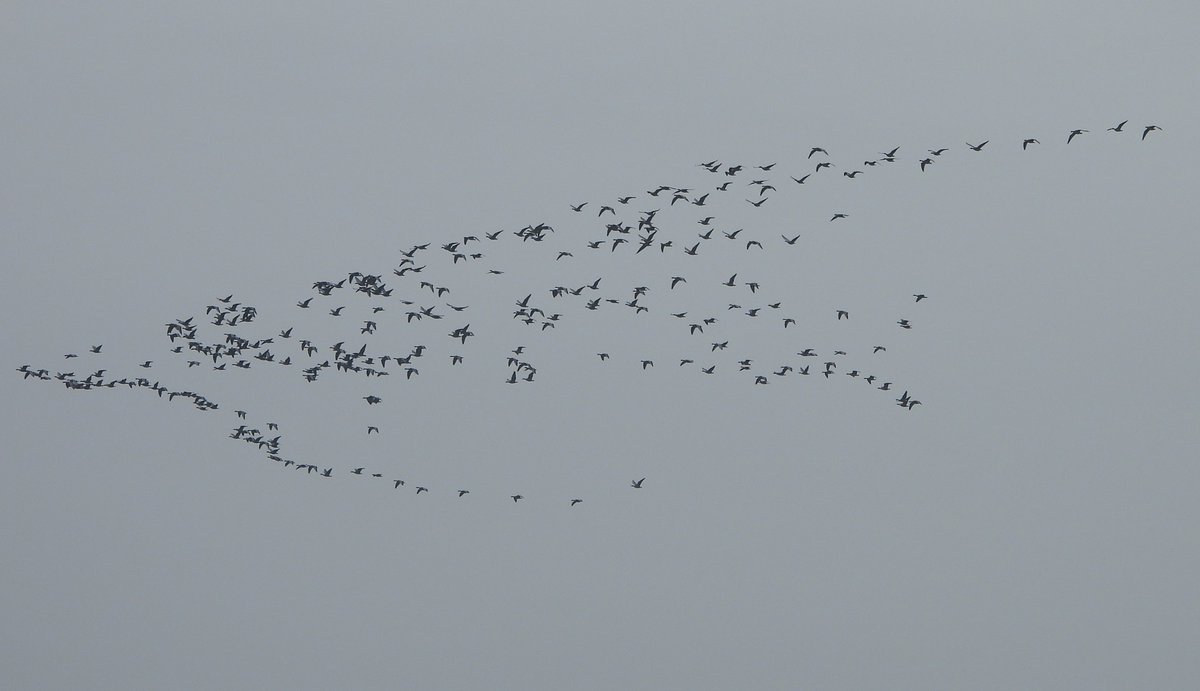 Duncan Bye tweet media