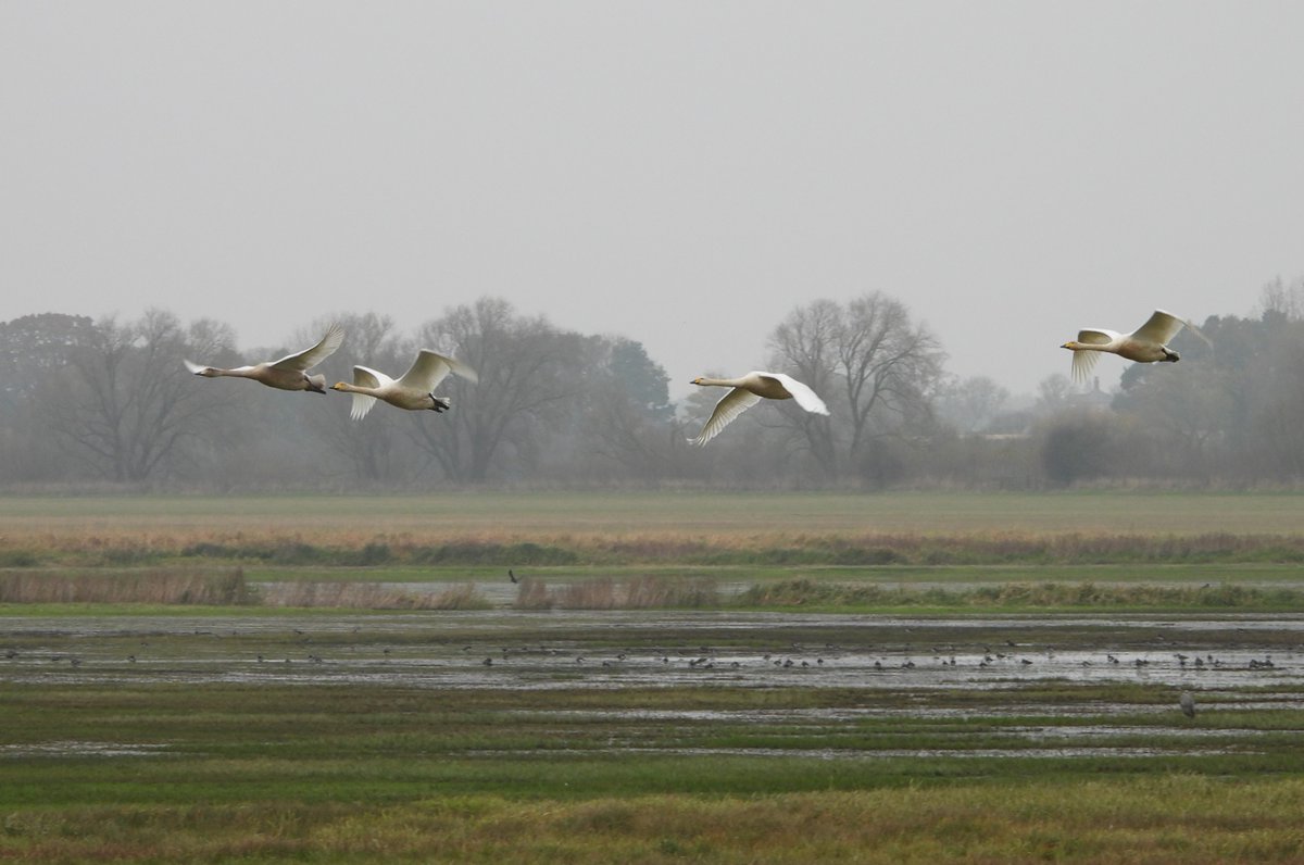 Duncan Bye tweet media