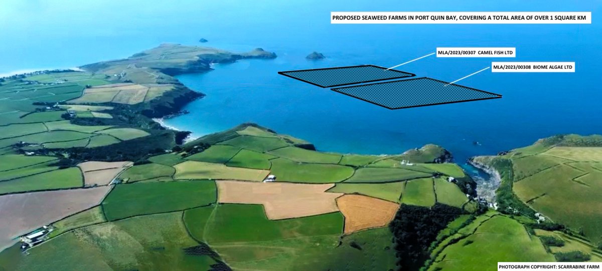 SavePortQuinBay's tweet image. PLEASE sign our petition to save our pristine marine environments from commercial exploitation...
and share this with your friends. Thx
change.org/p/save-our-sea
@jamesfairwild @StephenMoss_TV @michaelastracha @ChrisGPackham @mrhenrymorris @sueperkins @PhelpsieSarah @StephenMangan