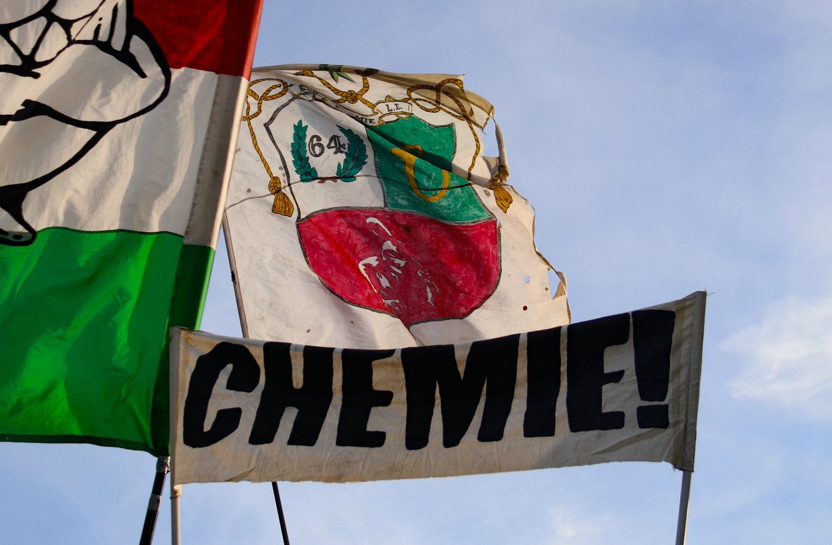 Hertha BSC 2 - BSG Chemie Leipzig 

👇

höllenreiter.com/2024/11/10/her…