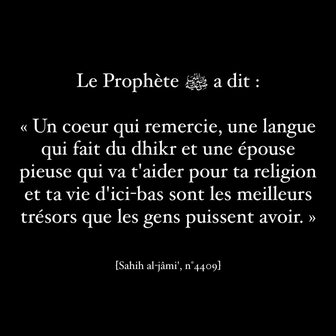moussa_tawhid (@moussa_tawhid) on Twitter photo 