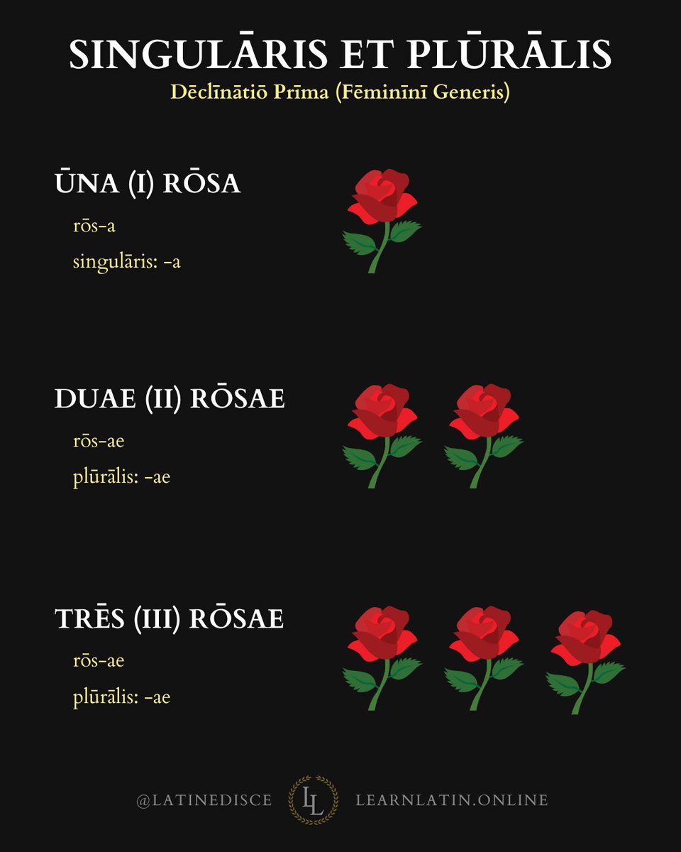 Learn Latin tweet media