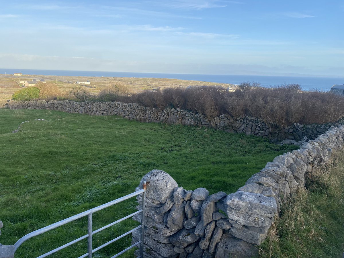 pomskua's tweet photo. Lovely day birding on Inis Meáin. Two Siberian Chiffchaff &amp; 20 Great Shearwater's in a offshore seabird feeding flock the best. Wonderful day on a wonderful island https://t.co/Edv1pItHxp