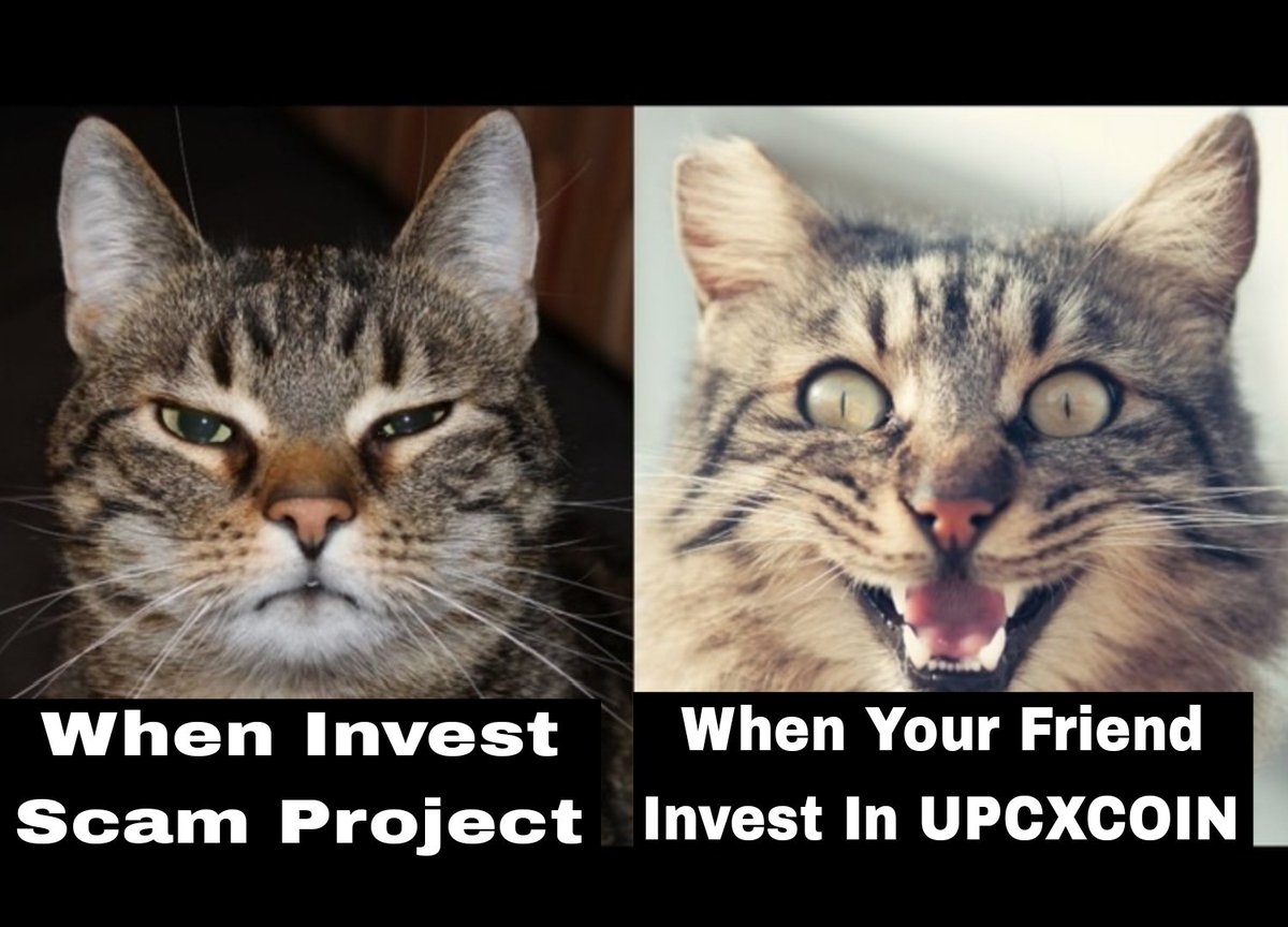 Tuesday138's tweet photo. @Saira_Channa_ 
@thothanh2022 
@Noussen384410 

#UPCXMemeMania #UPCX $UPC https://t.co/gdCPcsA1fe