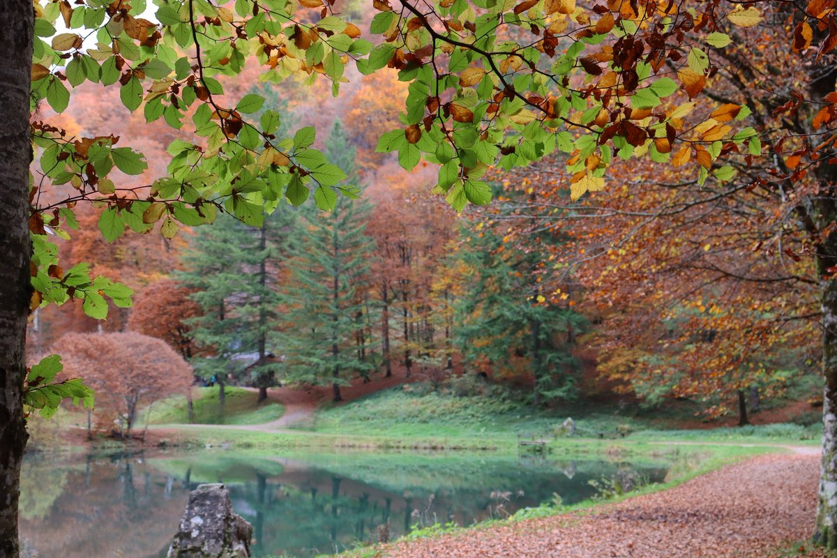 Lujia 🧜🏻‍♀️ (@julmra) on Twitter photo 