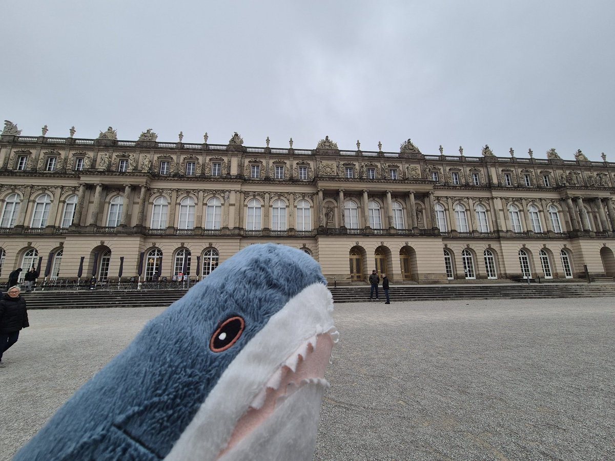 Mein Blåhaj hatte heute einen guten Tag 🤗