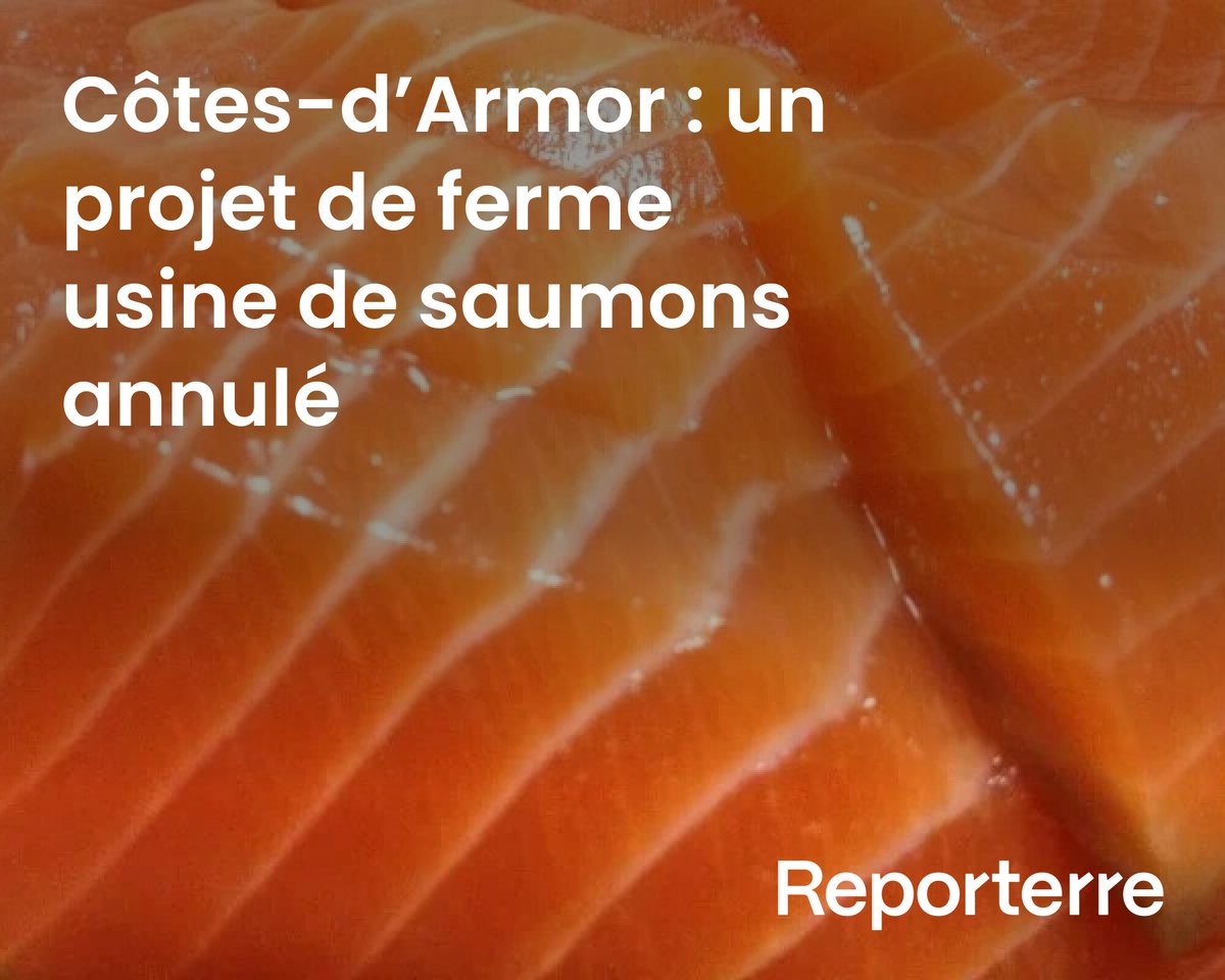 Reporterre's tweet image. Côtes-d’Armor : un projet de ferme usine de saumons annulé.

L’entreprise norvégienne Smart Salmon renonce à implanter sa ferme-usine de saumons à Plouisy, près de Guingamp.

Lire l'article ➡️ l.reporterre.net/WmV