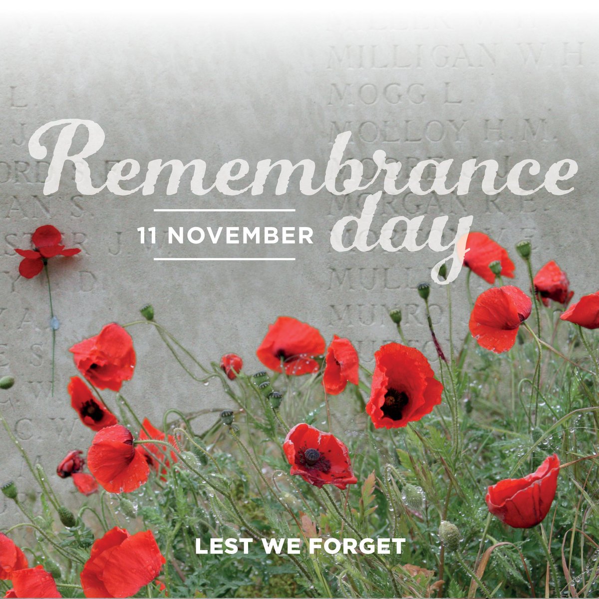 Remembrance Day - 11th November - marks the anniversary of the Armistice that ended World War I. The NOFASD team honours the courage of those who fought, who fell and who bore the scars and trauma of war to ensure the security and happiness of the generations that followed.